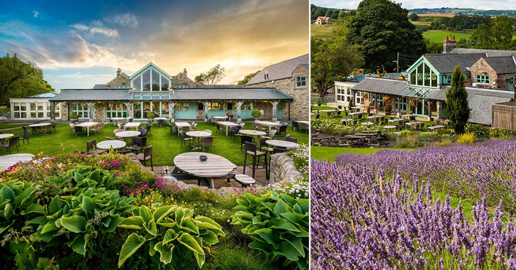 the outdoor beer garden at Black Horse Beamish